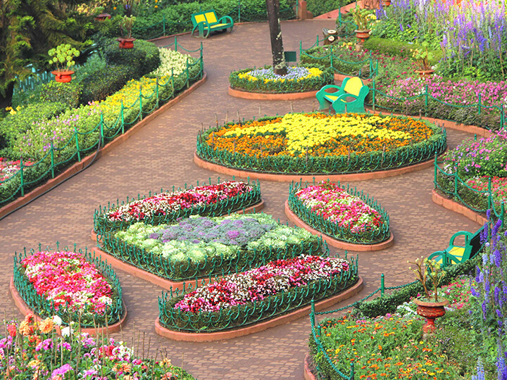 Hidden gardens in Ooty